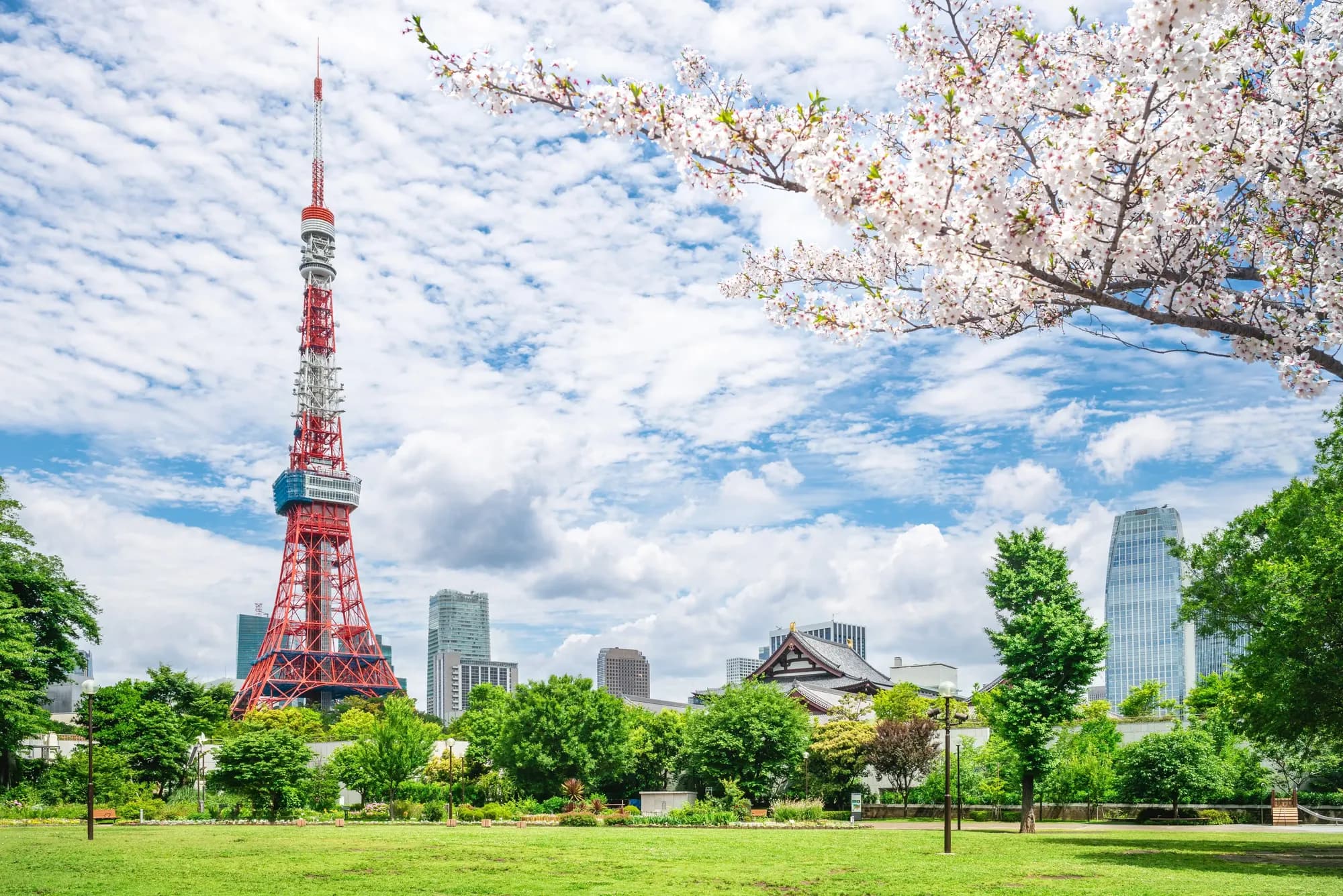 Visit Tokyo: Travel Guide App